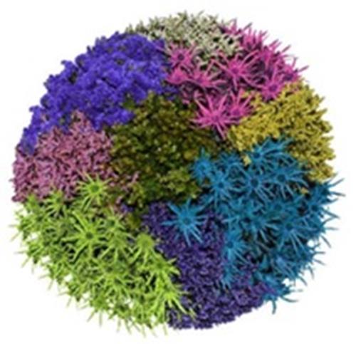PARADE OF FILLER FLOWERS ASSORTED COLORS COMBO BOX